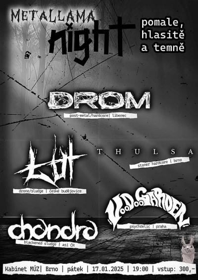 Metallama night 2025 (vol.2) Metallama night 2025 (vol.2)