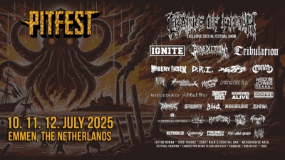 Pitfest 2025 (vol. VIII) Pitfest 2025 (vol. VIII)