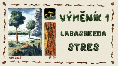 LABASHEEDA (NDL) - České Budějovice 2025