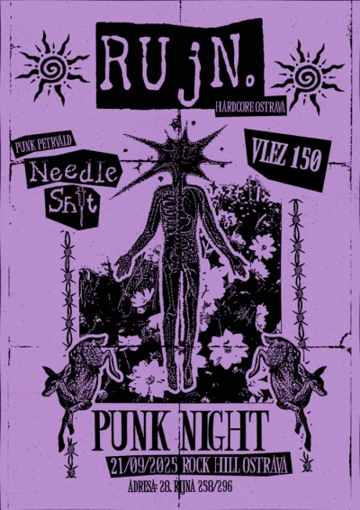 PUNK NIGHT - RUjN. + Needle Shit