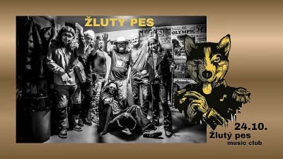 Žlutý pes - Pardubice 2025