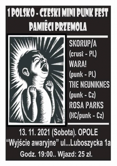 Polsko-czeski mini punk fest 2021 (vol.1)