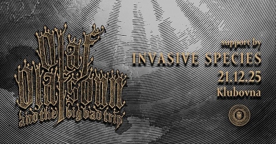 Winter Solstice Celebration MMXXV