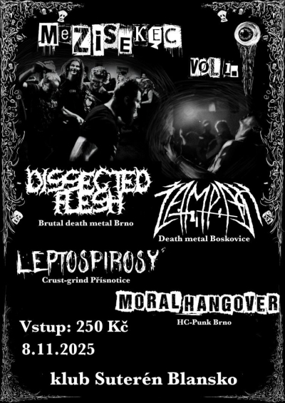 MEZISEKEC 2025 (VOL.1)