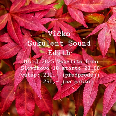 Víčko & Sukulent sound & Edith - Brno 2025