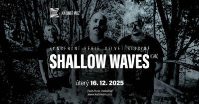 Velvet Suicide: SHALLOW WAVES (CAN)