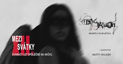 Mezi svátky 2025 (vol. XII.)