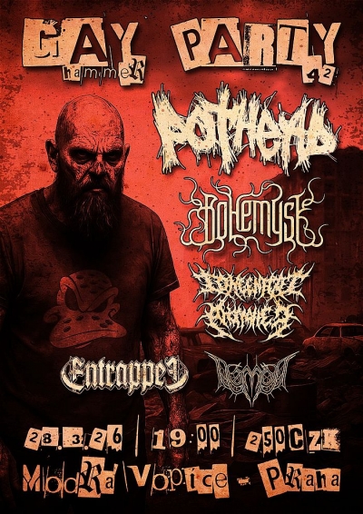 Gayhammer party 42 (2026)