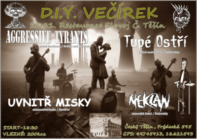 Koncert DIY (Český Těšín) 2025 (2)