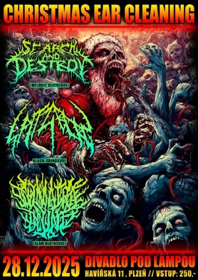 CHRISTMAS EAR CLEANING 2025