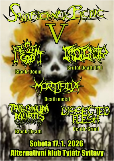 Sunflower Picnic V (2026)