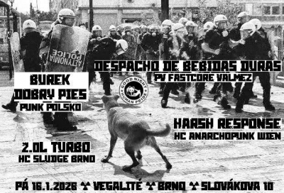 Burek! Dobry Pies (PL) & Despacho de Bebidas & Harsh Response (A) - Brno 2026