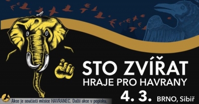 STO ZVÍŘAT v Brně: benefice pro městskou přírodu