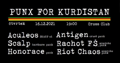 PUNX FOR ROJAVA PUNX FOR ROJAVA