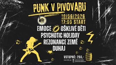 PUNK V PIVOVARU 2026