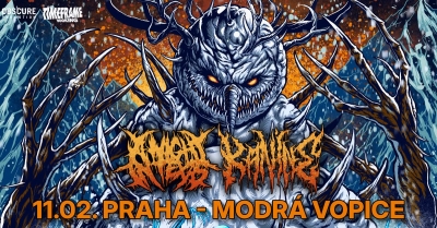 KANINE (FRA) & A NIGHT IN TEXAS (AUS) - Praha 2027