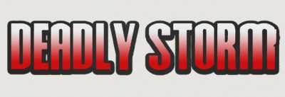 Deadly storm festival