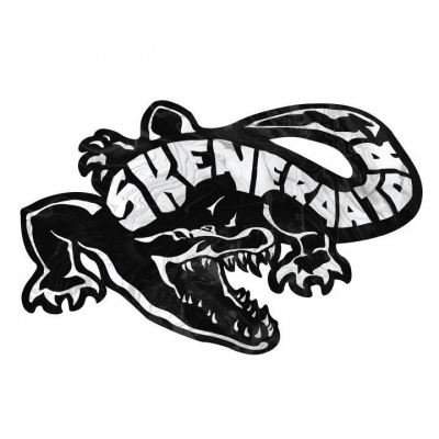 Skeneraator Festival