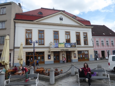 Kino Střelnice