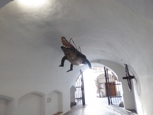 vstupní brána vstupní brána