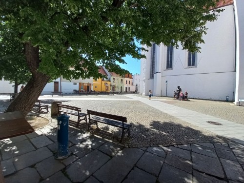 pohled na areál (2022) pohled na areál (2022)