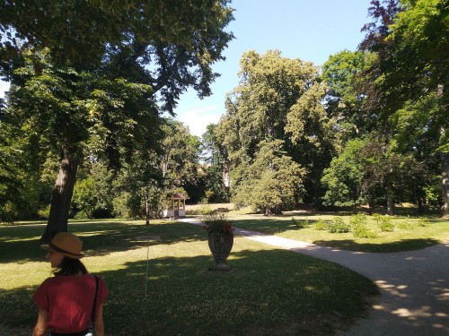 pohled na lokalitu (červenec 2025)