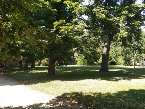 pohled na lokalitu (červenec 2025)