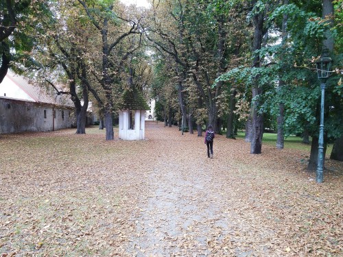 areál zámku (srpen 2025)